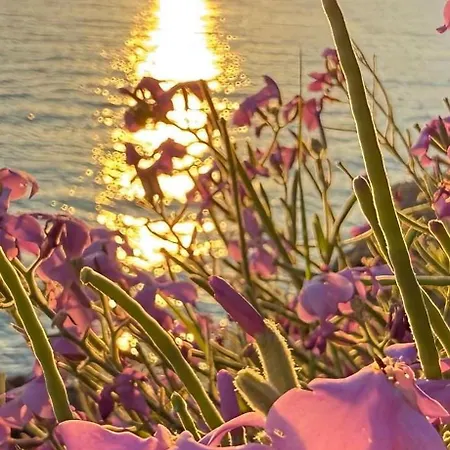 Aparthotel Innjoy Space