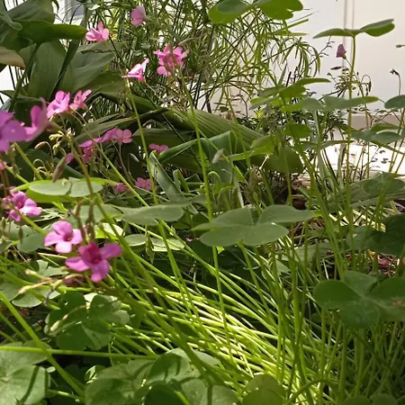 Innjoy Space Apart-hotel